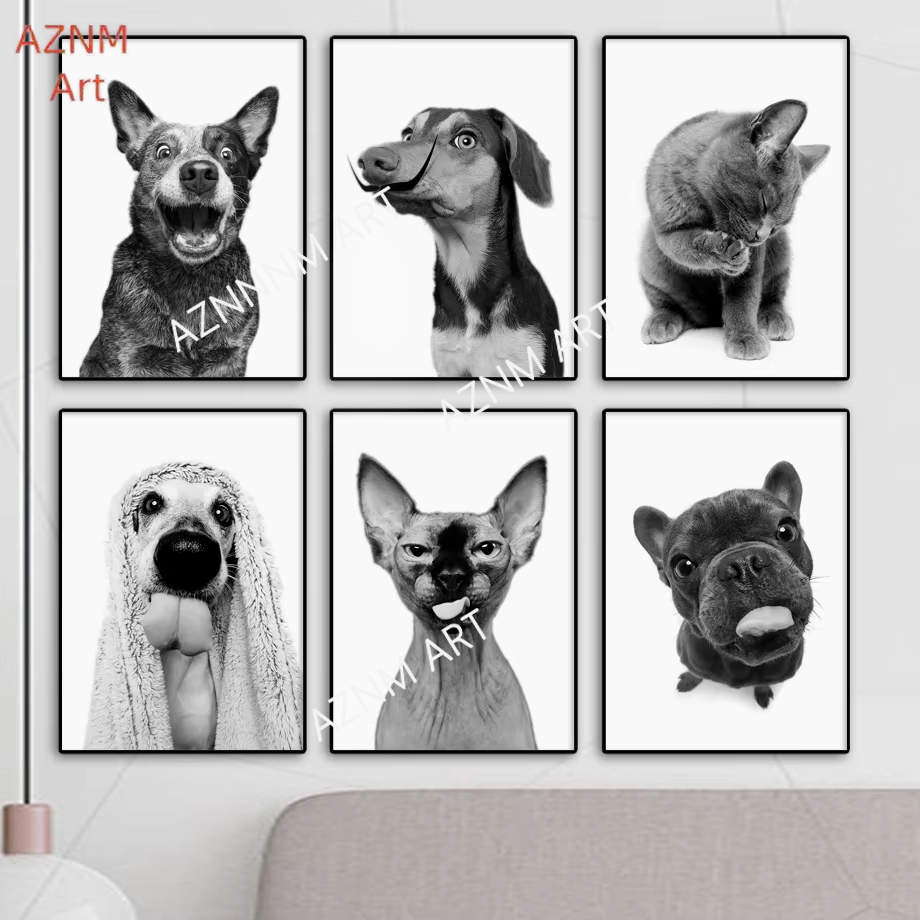Sfinx Kat Franse Bulldog Anima - Home Textiles France recensie en prijs